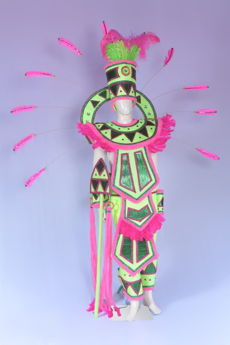 Fantasia da ala “Guerreiros verde-rosa”2015